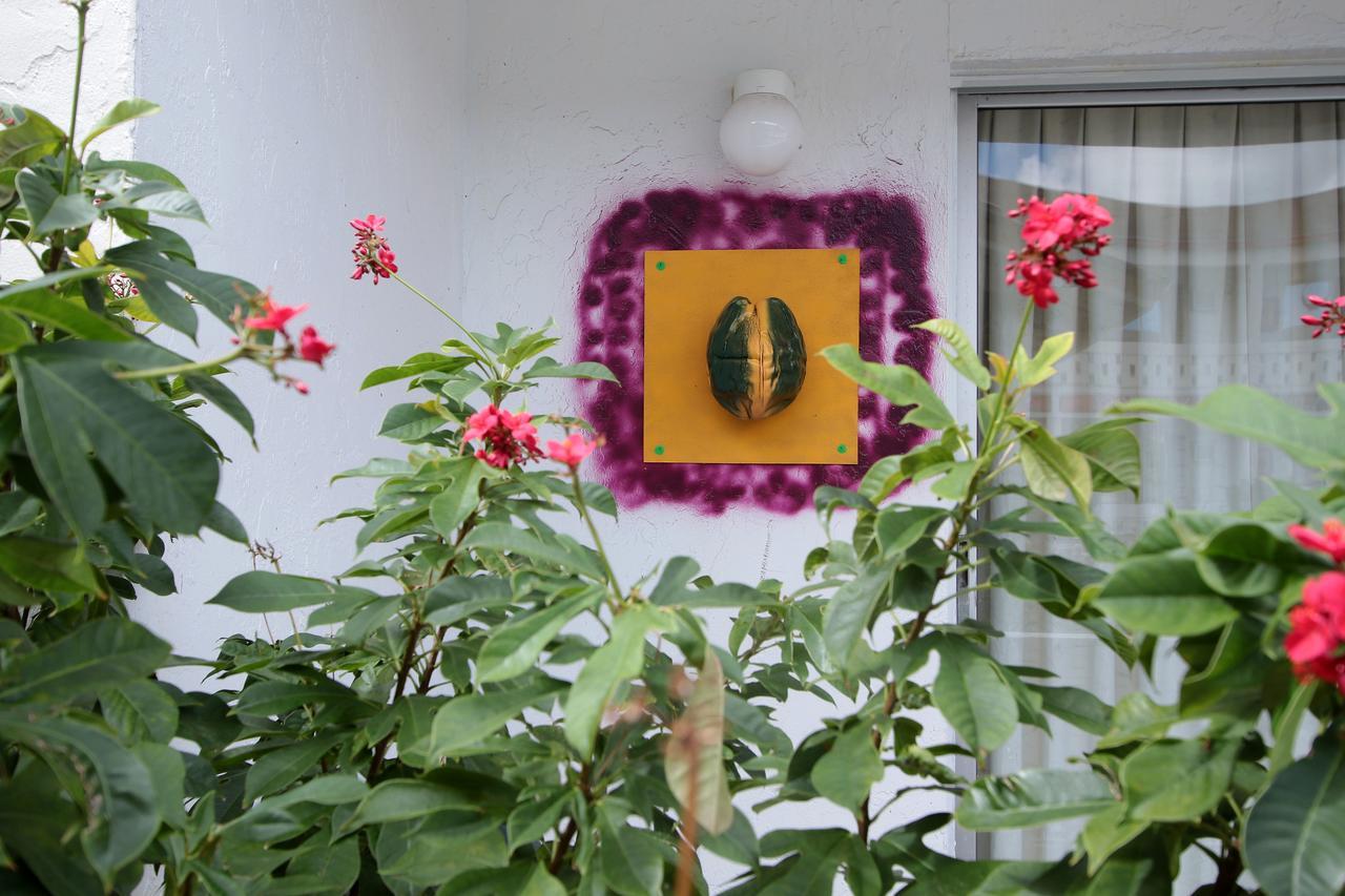 Hôtel Nettie'S Different Of Nassau Casuarina'S Extérieur photo